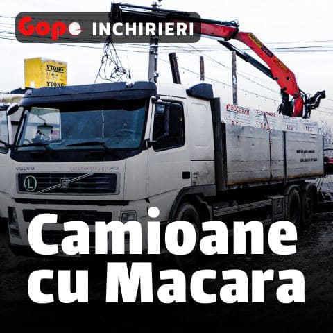 camioane cu macara